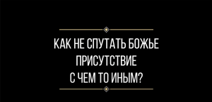 Вопрос: Евгении Ильиных "Как не спутать Святой Дух с другим духом"