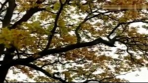 народный хор "ветеран" - Вальс расставания. Донецк РФ