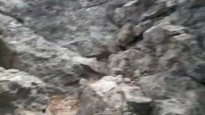 Лестница обезьян. Караул Оба. Крым. Новый Свет