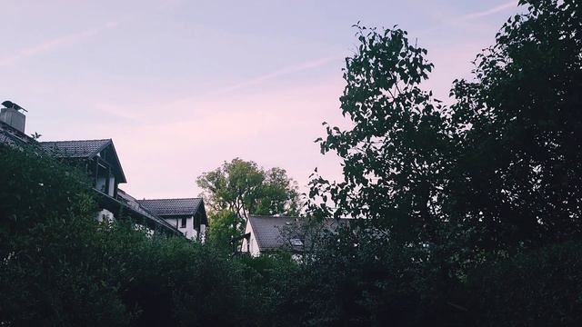 Подарок к юбилею. Новая жизнь в Германии после 50. Новый канал на Ютуб. Будьте рядом!) Ваша Медведи