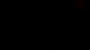 прямоток на турбодизеле