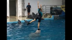 Дельфинарий Немо  для детей  Анапа  ШОУ ДЕЛЬФИНОВ НЕМО Трюки дельфинов