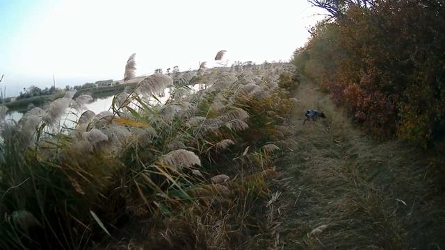 ОХОТА НА УТКУ И ЧУДО ОХОТНИКИ смотреть онлайн