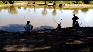Рыбалка после зарыбления. Пруд "Перепеловский"