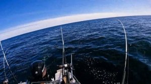 Рыбалка на лосося в Балтийском море . Май 2022.