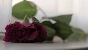 Моңлану...Габдельфат Сафин.