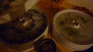 Капуста брокколи сушеная - витамины своими руками