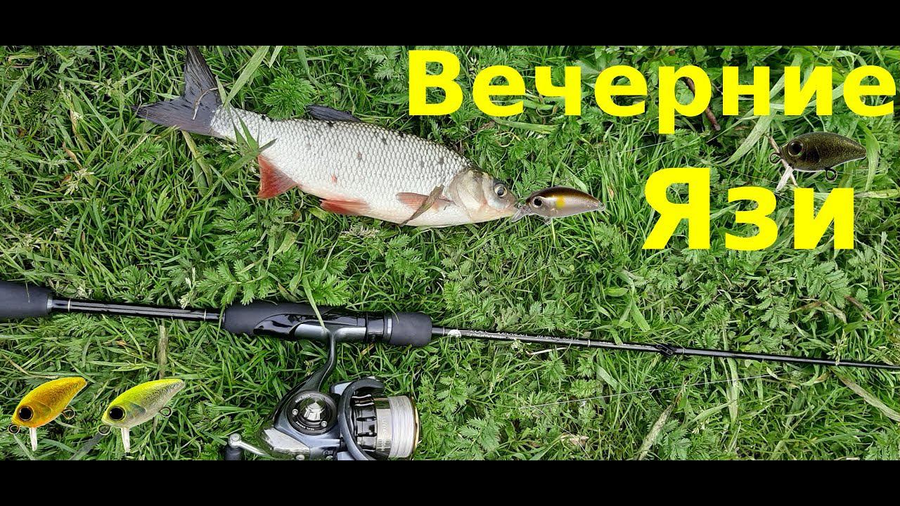 Вечерний выход за язем. Потеря Smith Camion