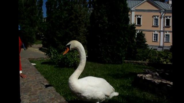 А НА ТРОИЦУ - Ирина Скорик