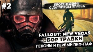 Fallout New Vegas_ поиск травки, борьба с геконами и сломанная винтовка! #fallout #фоллаут