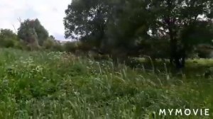 #шостка#прогулка# Лазаревка,ТЭЦ,ул.Гагарина. Река Шостка. Прогулка.