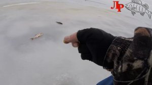 Ловля плотвы зимой на безнасадочную мормышку.