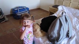 Sentido Mamlouk Palace Resort 5* Обзор номера