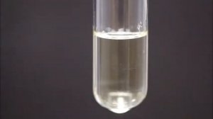 Реакция этерификации. Химический опыт