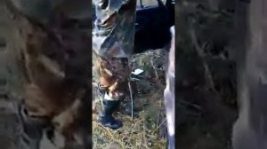 Медведь разорвал всю машину.