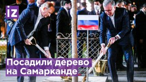 Золотой лопатой Владимир Путин посадил дерево на Самарканде во время саммита ШОС / Известия