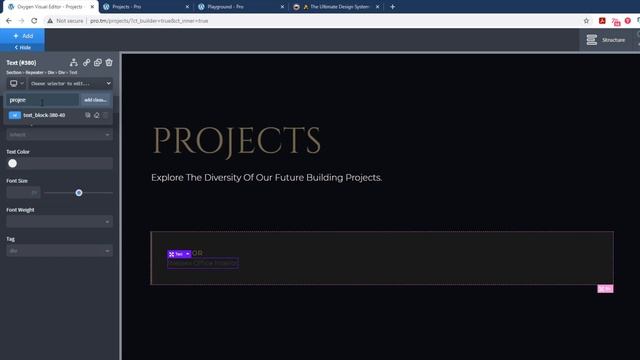Projects Page with an Image Reveal Effect Using Oxygen Builder.