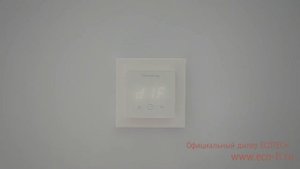 Терморегулятор Termoreg TI 300