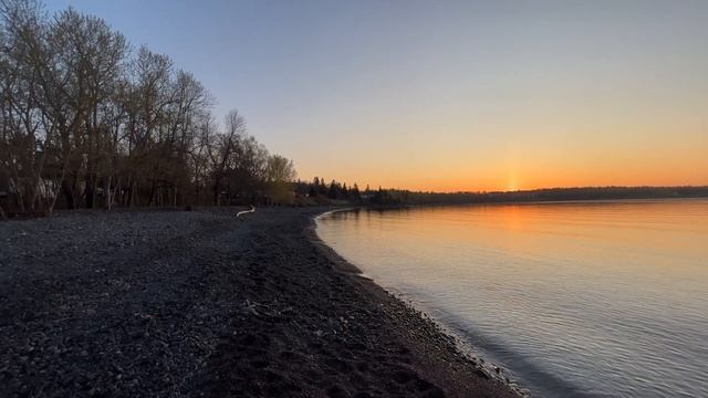 Camping on the North Shore in my Honda Element смотреть онлайн