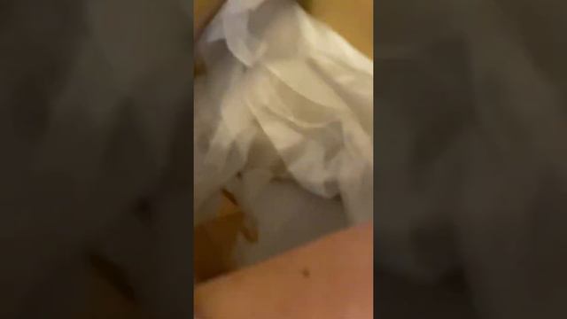 Review for https://orchidgarden.co.uk/ смотреть онлайн