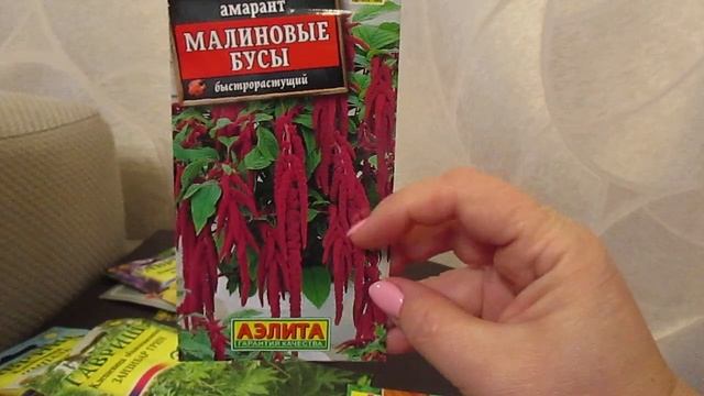 Высокорослые однолетники для центра клумбы.