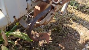 Культиватор для высокостебельных культур КРН-8,4 "Корммаш" . Экспресс-обзор от Андрея Абросимова.