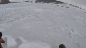 Шуруповёрт  Nanwei для зимней рыбалки + шнек NERO . Ловля  окуня на балансир