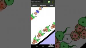 Cell lab. СОСТАВНЫЕ ОРГАНИЗМЫ.