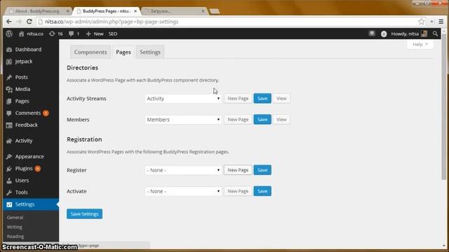 Видеоурок: что такое BuddyPress и какие у него возможности