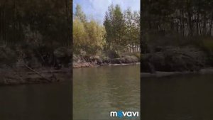 Лодка флагман 420 нднд ,мотор Меркурий 9.9тмс,плывём по оби через острова ,на место раскамондировки