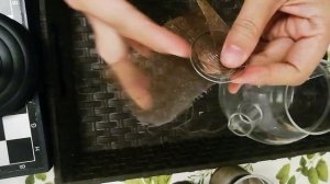 Обзор стеклянного чайника с лайфхаком. Как установить сетку на стеклянный чайник