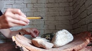 Онлайн чистка/снятие крадников