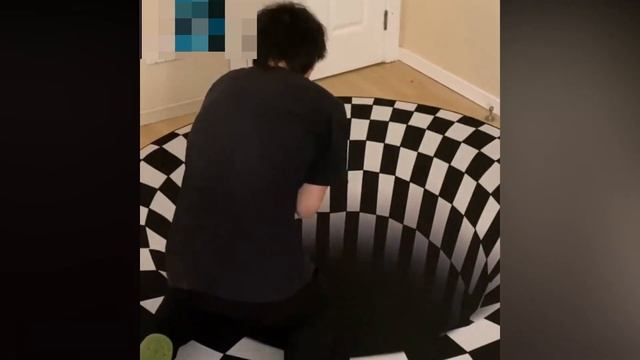 A 3D rug that fools the dogs… смотреть онлайн