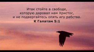 РАДИОПРОГРАММА "Порнография: наслаждение или греховное рабство?" и "900 Секунд" 30.08.21