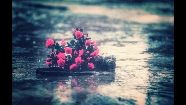 Дима Карташов – Редкие встречи