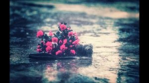 Дима Карташов – Редкие встречи