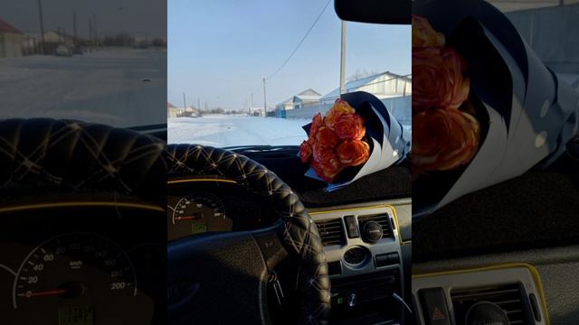 роза роза че за доза