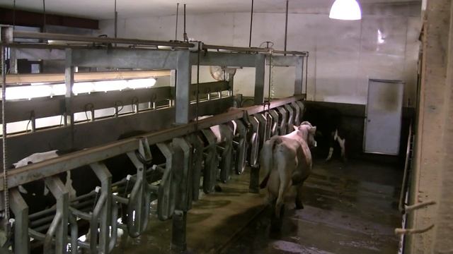 Rapid Exit смотреть онлайн