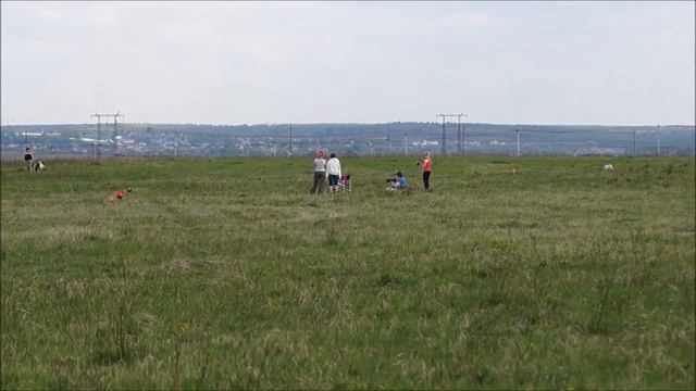 BRIZ LEGKIY VETER (красн) - ИСТОРИЯ ЛЮБВИ ОРЛОВ ГРАФ (син). ЧР 2016.№51. смотреть онлайн