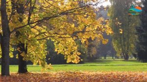 Пансионат "Поляны"