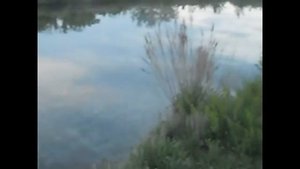 Южный Аппендикс России ВЕЧЕР НА ХОБДЕ И ИЛЕКЕ Evening on the river. Orenburg region