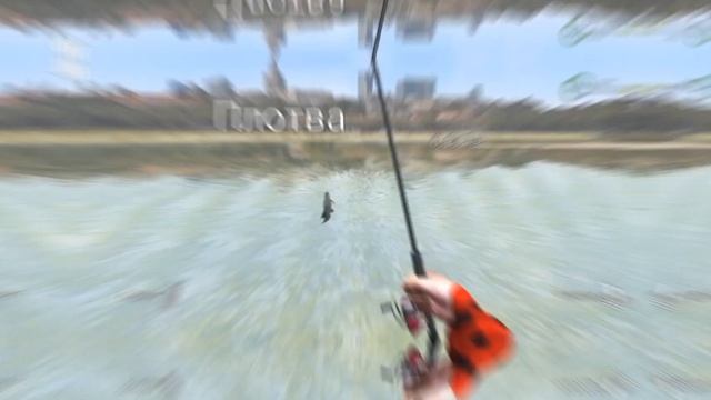 5 килограммов ПЛОТВЫ!!! | Ultimate Fishing Simulator | Варшава, Висла