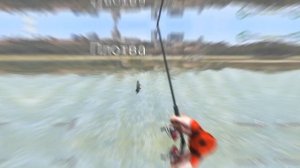 5 килограммов ПЛОТВЫ!!! | Ultimate Fishing Simulator | Варшава, Висла