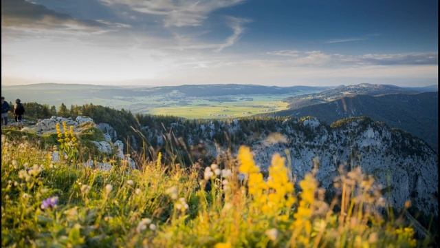ВЫНУЖДЕННОЕ «СОЖИТЕЛЬСТВО