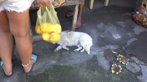 Путешествие по острову Бали, район Амед. Кочевники Бали