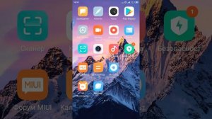 Как подключить доступ памяти к браузеру на ксиоми