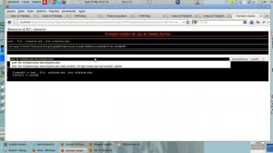 exemploDeExecucaoDeShellScriptEmPHP.ogv