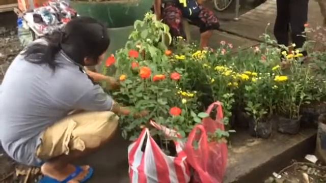 Leganes market смотреть онлайн