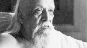 Сатпрем. Шри Ауробиндо или Путешествие Сознания. Глава 10