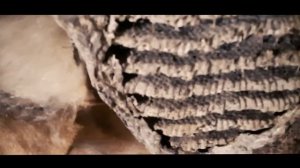 Бытовка 9м на 3м Сломали кран. Демонтаж стен